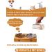 VENTION Stainless Steel Shallow Cat Food Bowls Set of 4 - 5 7/10 Inch - Dishwasher Safe Metal Dishes for Elevated Stand, Whisker Fatigue Relief - Buy Online on GoSupps.com