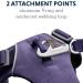 Luffwear Front Range Dog Harness - Reflective Padded Anti-Escape - Purple Sage - Large/X-Large - International Shipping Available - Buy Online on GoSupps.com