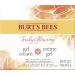 Burt's Bees Truly Glowing Replenishing Gel Face Cream Face Moisturizer for Normal and Combination Skin 99% Natural Origin Developed with Dermatologists 51g Gel Cream With Hydrate and Glow Complex - Buy Online on GoSupps.com