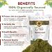Organic Way Senna Leaf Powder - Premium Grade Organic & Kosher Certified | Vegan Non-GMO Gluten-Free Superfood | USDA Certified | Ships Internationally (1 LB - Buy Online on GoSupps.com