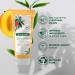 Klorane - Nourishing Conditioner with Mango - Nourishing - Dry hair Moisturize and Hydrate 0% Paraben Silicone and Sulfate Biodegradable Vegan Dermatologist tested - 200ml Orange - Buy Online on GoSupps.com