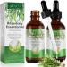 Rosemary Oil for Hair Growth  2 Packs Organic Rosemary Essential Oils  Pure Rosemary Oil for Hair Loss Regrowth  Pure Rosemary Hair Oil (60mlx2) 4.04 Fl Oz (Pack of 1)
