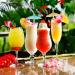 ALINK 50 Umbrella Parasol Drinking Straws - Hawaiian Luau Party Decor Supplies - Buy Online on GoSupps.com