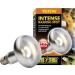 Exo Terra Intensive Sun Spot Lamp 150W - Pack of 2 | High-Performance Reptile Lighting for Optimal Habitat - Buy Online on GoSupps.com