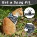 CatRomance Escape Proof Kitten Harness and Leash Set | S Size Black | Chest 10.5-11.5 | Weight 3.3-6.6 lbs - Buy Online on GoSupps.com