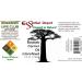 Buy Baobab Unrefined Carrier Oil - Non-GMO Vegan 4 oz - GC/MS Tested Amber Glass Bottle - International Shipping - Buy Online on GoSupps.com