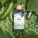 Humphrey's Alcohol-Free Witch Hazel Toner with Cucumber - Refreshing 8 fl oz - Buy Online on GoSupps.com