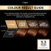 L'Oreal Paris Preference Hair Dye 5.3 Virginia - Long Lasting Luminous Permanent Hair Colour - Buy Online on GoSupps.com