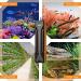 Hygger 500W Submersible Aquarium Heater - Digital LED Controller & Overheating Protection for Freshwater & Saltwater Tanks (245-500L) - Buy Online on GoSupps.com