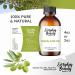 Squalane Oil - 100% Pure & Natural Plant Derived Facial Oil - 2 Fl Oz - Buy Online on GoSupps.com