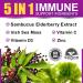 Organic Elderberry & Sea Moss Gummies with Zinc, Vitamin C & D3 - Immune & Thyroid Support - Vegan - 120 Count (Pack of 2) - Buy Online on GoSupps.com