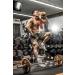 Pure Intra Workout Shake Grapefruit - 800g Powder | Cluster Dextrin EAA & BCAA for Muscle Building | Made in Germany - International Shipping Available - Buy Online on GoSupps.com