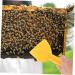 POPETPOP 1pc Plastic Honey Spatula Squeegee Beekeeping Supplies Tools Honey Collection Tool Ultra Thin Suite 20x10.5cm Yellow - Buy Online on GoSupps.com