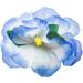 Hula Girl Hibiscus Flower Hair Clips - 12 Pack, Assorted Colors, Perfect for Events & Decor - Buy Online on GoSupps.com