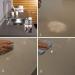 LTP Quartz Care & Clean Range for Fireplaces and Kitchen Worktops (LTP Quartzcare (250ml)) - Buy Online on GoSupps.com