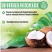 VITABAY Coconut Kiss Moisture Cream for Very Dry Skin - Hydrating Face Cream for Women 50ml - Coconut Fragrance - Ideal Moisturizer for Winter & Dry Heating Air - Buy Online on GoSupps.com