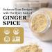 Minerva Spices Organic Ginger Ground 4 Oz 120 Grams Premium Quality 100% Pure Non-GMO Vegan Gluten-Free and Kosher Certified - Buy Online on GoSupps.com