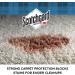 Scotchgard Rug & Carpet Protector 14-Ounce Can - Stain and Spill Protection - Buy Online on GoSupps.com