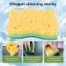 wemee Non-Scratch Cellulose Household Kitchen Sponges Dishes Sponge 5 Packages Multi-Use Dish Scrubber Sponge for Household - Buy Online on GoSupps.com