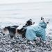 Hurtta Rain Blocker Dog Raincoat Raven 28 - Waterproof Dog Coat - Buy Online on GoSupps.com