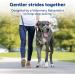 PetSafe Gentle Guide Collar - Beige Medium | Includes Training DVD | International Shipping - Buy Online on GoSupps.com