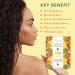 LAISAE Turmeric Brightening Soap for Face & Body - Shea Butter, Acne Scars, Dark Spots, Uneven Skin Tone - Vegan, Cruelty-Free - 3.52 oz (2 Bars) - Buy Online on GoSupps.com