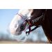 KM Elite ThinLine Flexible Filly Grazing Muzzle - Soft Light & Durable - New Design - Protect from Overeating (Medium) - Buy Online on GoSupps.com