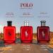 Ralph Lauren - Polo Red - Eau de Toilette - Men's Cologne Gift Set- Fresh Daring Woody Spicy Scent - Full Size 2.5 Fl Oz & Travel Size 0.3 Fl Oz - Buy Online on GoSupps.com