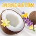Suave Invisible Solid Antiperspirant Deodorant Coconut Kiss 2.6 oz Coconut 2.6 Ounce (Pack of 1) - Buy Online on GoSupps.com
