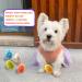 Dog Dress with Tulle for Small Dogs - Easter Day Puppy Sundress - Small (1 Pack) - Buy Online on GoSupps.com