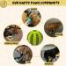 Pawsonly Feeding Ball for Dogs | Interactive Dog Toy for All Sizes | Dental Care & Puppy Play | Small 6 cm Green - Buy Online on GoSupps.com