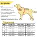 Dog Waterproof Raincoat with Poncho Hoodie | High Reflective Yellow Pet Jacket for Medium Dogs | Red - Buy Online on GoSupps.com