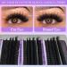 Premium Lash Clusters Eyelash Extensions | 60D 80D 100D Volume | D Curl Cluster Lashes | 270pcs | Natural Thin Band False Eyelashes (10-18MM - Buy Online on GoSupps.com