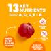 Sundown Naturals Kids Complete Multivitamin Gummies - Incredibles 2, Grape, Orange & Cherry, 180 Count - Buy Online on GoSupps.com