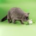 NutriPaw Calming Treats For Cats - Reduce Stress Fear Nervousness Anxiety & Travel Issues - Natural Calming Support as a Tasty Treat - Lasts up to 2 Months - Buy Online on GoSupps.com