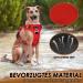 Buy Eyin Adjustable Dog Harness for Large Dogs - Breathable Reflective Padded with Handle for Training (Red L) - Neck 42-60cm Breast 47-86cm - Buy Online on GoSupps.com