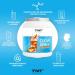 TNT Clear Whey Peach Ice Tea 900g - High Protein Isolate Shake with BCAAs | Refreshing Peach Iced Tea Flavor for Fitness & Wellness - Buy Online on GoSupps.com