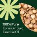Plant Therapy Coriander Seed Essential Oil 10 mL (1/3 oz) 100% Pure Undiluted Calming Aromatherapy for Muscle Soreness and Digestive Discomfort - Buy Online on GoSupps.com