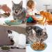8 Pcs Cat Food Dish Cat Bowls Whisker Fatigue Free Cat Food Bowls Multipurpose Cute Pet Bowl to Relieve Whisker Fatigue for Cats Kittens Puppies Dishwasher Safe (Four color) - Buy Online on GoSupps.com