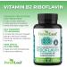 ForestLeaf Vitamin B2 Riboflavin 400mg - 90 Capsules | Promotes Healthier Blood, Nervous System, Energy, and Metabolism | Non-GMO, Gluten-Free Dietary Supplement - Buy Online on GoSupps.com