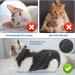 Cobee Professional Recovery Suit for Cats & Dogs | Abdominal Wound & Surgery Healing | Size S Gray - E-Collar Alternative - Buy Online on GoSupps.com