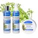 Herbal Time Chinin Haarmask 200ml | Anti-Hair Failure Treatment | Paraben & Sulfate Free | Shine & Strength for Powerful Hair - Buy Online on GoSupps.com
