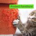 Natural Cat Repellent Spray - Stops Unwanted Behavior Indoors & Outdoors - Buy Online on GoSupps.com