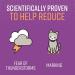 Sentry Pet Care Calming Collar for Cats - 1 Count | Anxiety Relief for Cats - Buy Online on GoSupps.com
