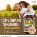 Herba Organic Maca for Men & Women - 200 Capsules | 100% Organic Gelatinized Maca Root | 500mg Peruvian Yellow Maca per Vegetable Capsule | Made in Canada - Buy Online on GoSupps.com