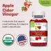 Herbion Naturals Organic Apple Cider Vinegar Gummies - Vegan Pectin-Based Digestion & Detox Support Pack of 4 (240 Gummies) - Made in the USA - Buy Online on GoSupps.com