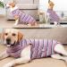 Jodsen Recovery Suit for Dog Dog Surgery Recovery Suit Purple Stripes Dog Surgical Onesie Suit Cone E-collar Alternative Dog Pajamas Ealstic Pet Anti-licking Surgery Suit for Medium Large Puppy (L) - Buy Online on GoSupps.com