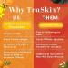 TruSkin Vitamin C Serum – Anti Aging Facial Serum with Vitamin C, Hyaluronic Acid, Vitamin E & More – Brightening Serum for Dark Spots, Even Skin Tone, Eye Area, Fine Lines & Wrinkles, 2 Fl Oz - Buy Online on GoSupps.com