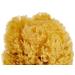 CROLL & DENECKE Natural Sponge - 12 cm 1 Piece | Eco-Friendly & Soft | International Shipping Available - Buy Online on GoSupps.com
