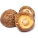 AnRa Shiitake Powder - 100g | Homeopathic Supplement for Dogs Cats & Horses Boost Animal Health - Buy Online on GoSupps.com